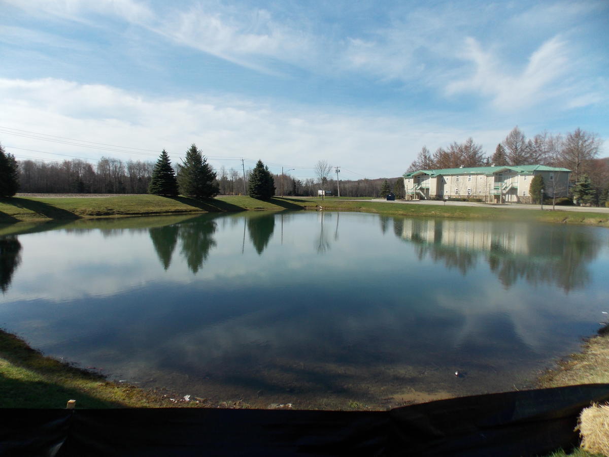 Fairway Suites At The Peak French Creek Екстер'єр фото